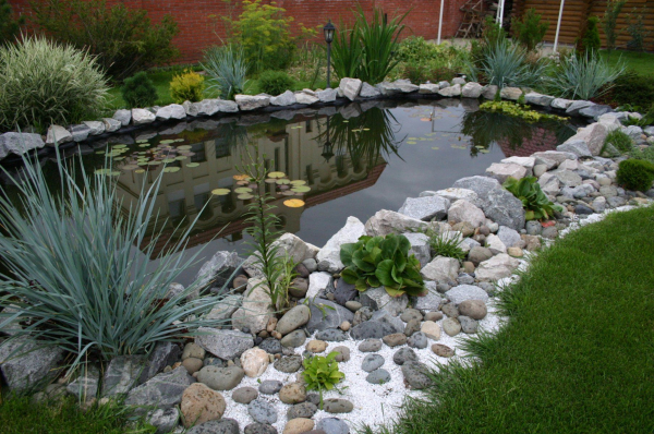 Обустроить пруд можно как угодно.