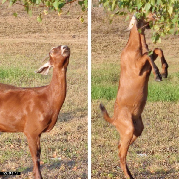 Бэбибумеры VS миллениалы: мечтать VS действовать.