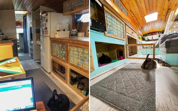 Кролики также путешествуют.