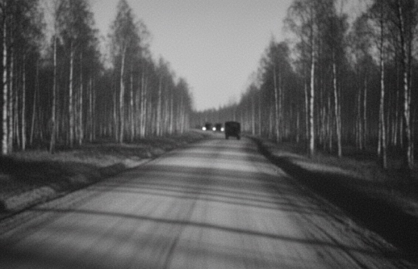 Побелка деревьев спасала жизнь солдатам во время ВОВ.