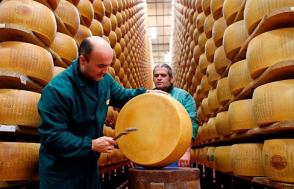 Слушатель сыра - важен для качества пармезана.