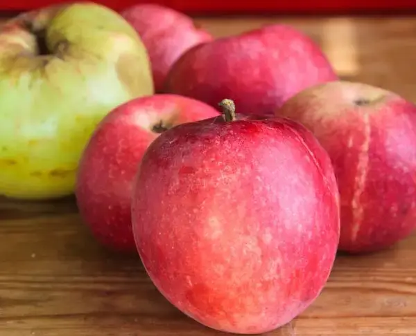 Чому не можна їсти яблука перед сном: запам'ятайте раз і назавжди