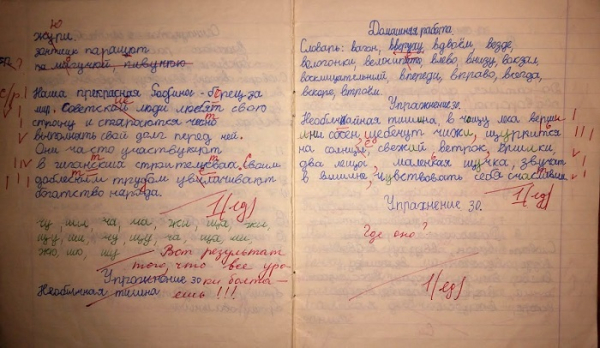 Учителя оставляют на полях пометки. / Фото: vogazeta.ru