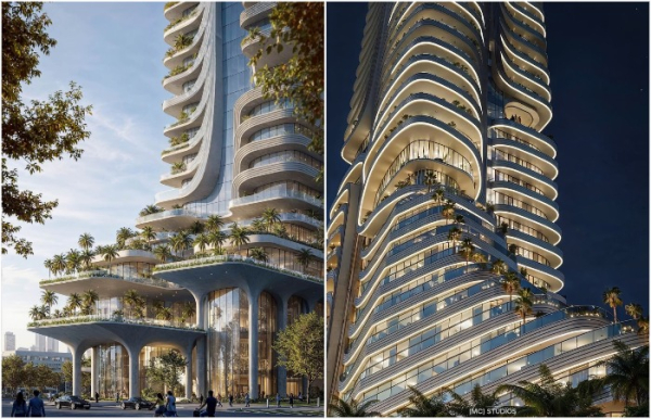 Пальмы растут даже на террасах и балконах.