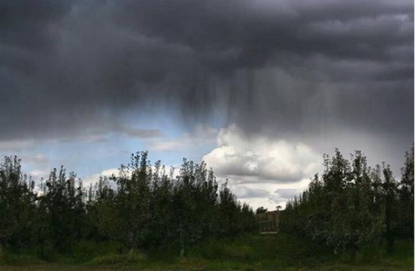 Вирга - дождь, который не может намочить землю. /Фото: wtaj.com