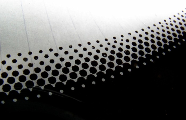 Фото:walesonline.co.uk