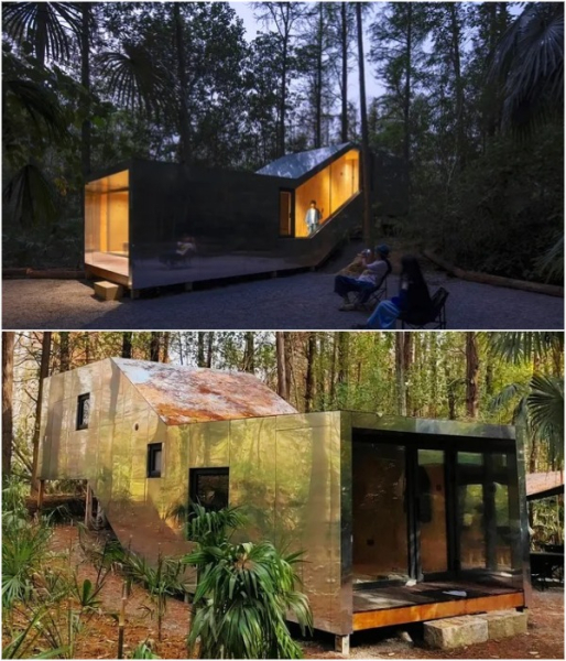 Номер Номер «Земля кочевников».