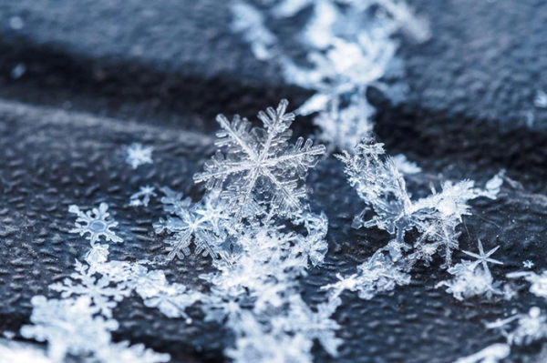 Белый цвет снега - физический трюк. /Фото: loveexploring.com