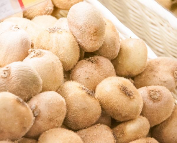 Який продукт є для пружної шкіри: не колаген, а його попередник