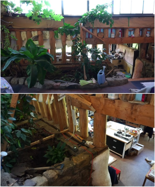 Грядки прямо у будинку. Грядки прямо в доме.