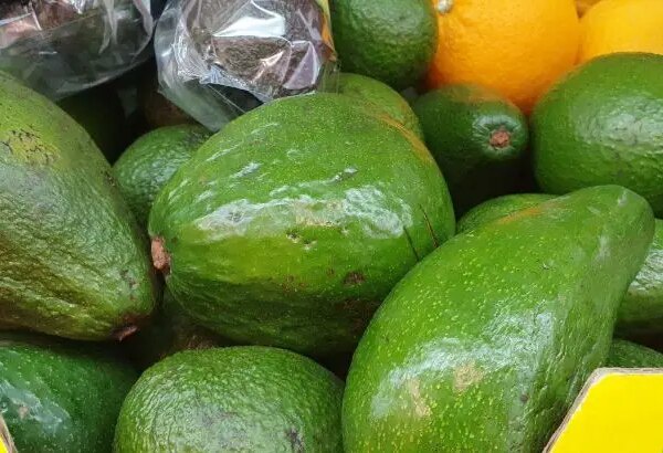 Що трапиться, якщо є авокадо щодня: як жирний фрукт зменшує талію