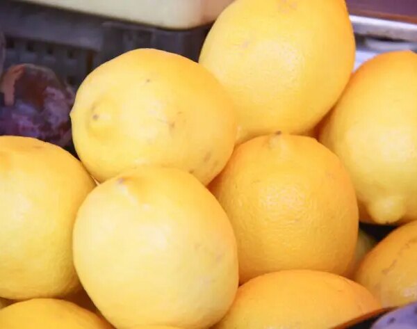 Як правильно їсти лимон: зі шкіркою чи без? Відповідь дієтолога