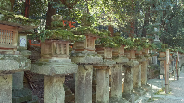 Старовинні торо Фото: stockarch.com Старинные торо Фото:stockarch.com