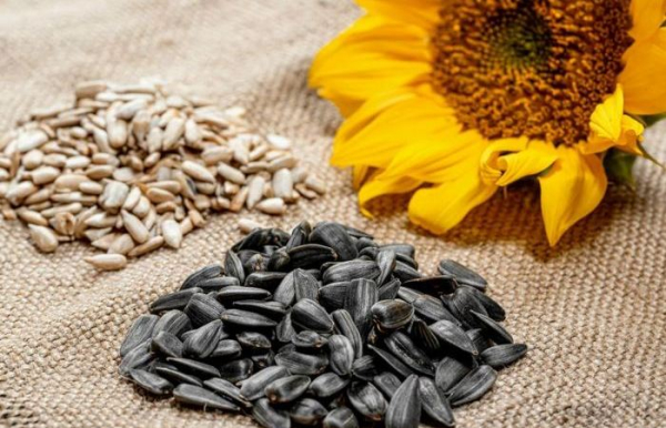 Без олії нікуди. /Фото: market.yandex.ru. Без масла никуда. /Фото: market.yandex.ru.