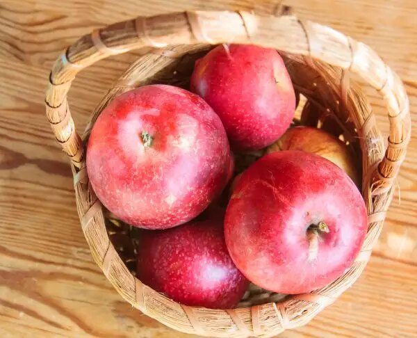 Як їсти яблука з максимальною користю: шкірка — викидати чи ні