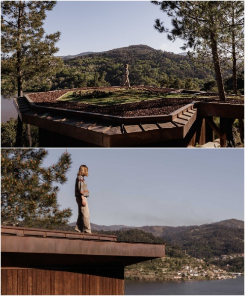 «Зеленая» крыша – идеальное место для отдыха (Douro Wood House).