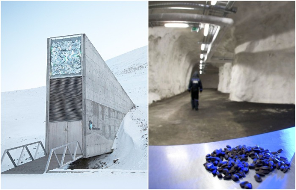 Тот случай, когда семечки хранят круче денег. /Фото: slowfood.com, nationalgeographic.com