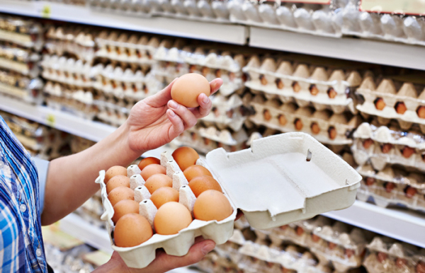 Не стоит есть яйца и мясо – сырыми! /Фото: vox.com. 