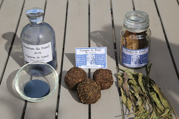 Сухие листья вайды красильной и пигмент индиго, который из них производят. /Фото: en.wikipedia.org