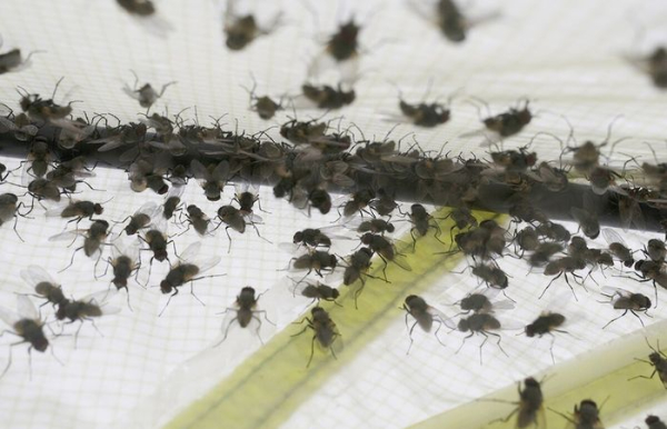 Не спешите заменять почву.  Фото: m24.ru.