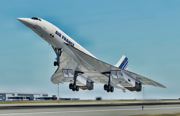 Длинный хвост./ Фото: youtube.com