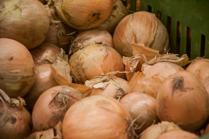 Скільки сирої цибулі можна з'їсти без шкоди: попередження гастроентеролога