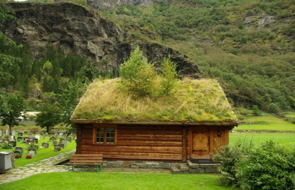 Для чого норвежці навіть у 21 столітті продовжують висаджувати траву на дахах&hellip;