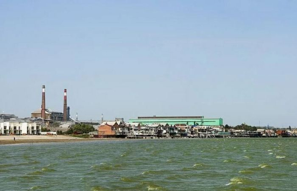 Один із лідерів у галузі. /Фото: baltele.com. Один из лидеров в отрасли. /Фото: baltele.com.