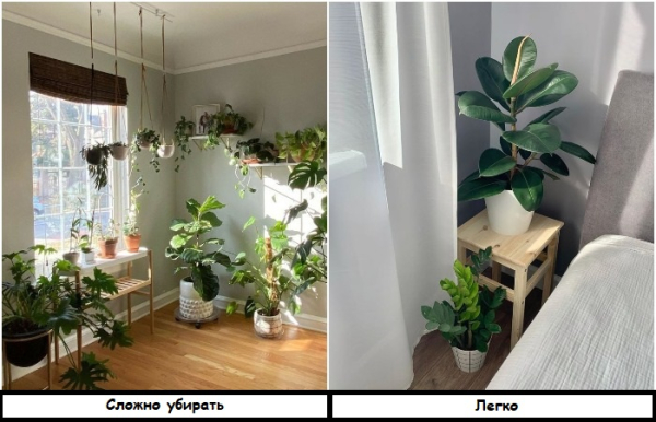 Растений не должно быть слишком много в квартире