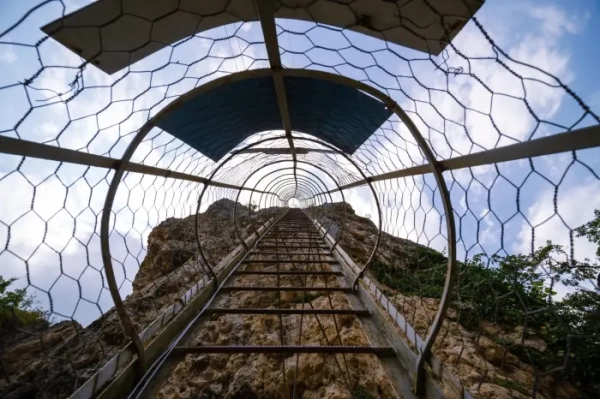 Сходи, що ведуть нагору. Фото: viatravelers.com. Лестница, ведущая наверх. Фото: viatravelers.com.