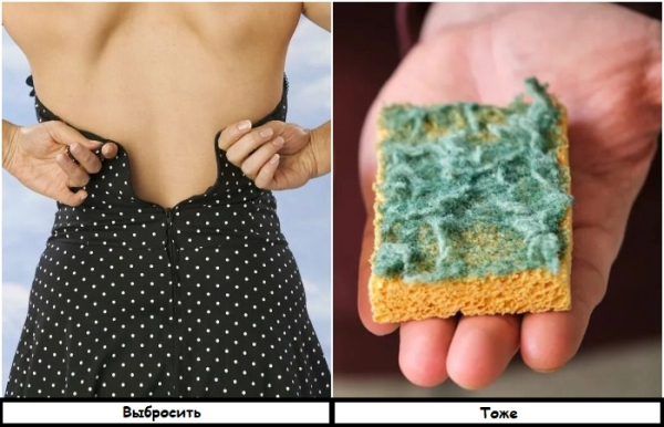 А раптом знадобиться: 7 непотрібних речей у будинку, які господині вперто зберігають роками