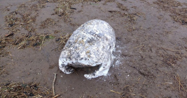 Одна из находок старого сала на берегу Шотландии. /Фото: listverse.com