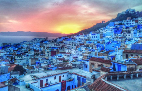 Небесно-голубой Шавен.  Фото: campus.codenaf.org.