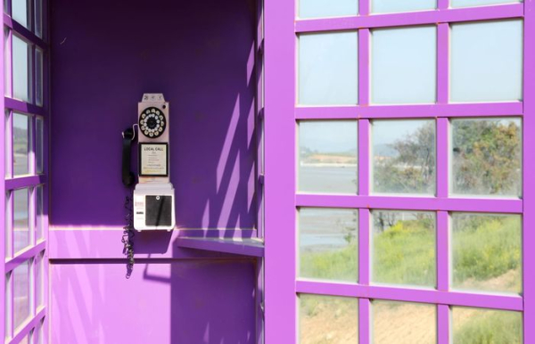 Здесь каждый уголок в пурпурном цвете.  Фото: cnn-arabic-images.cnn.io.