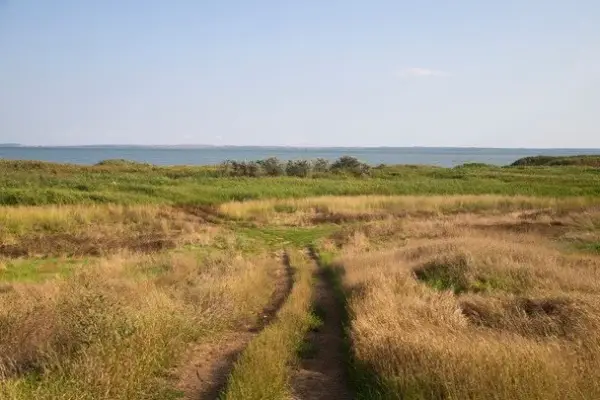 Народні прикмети 31 серпня