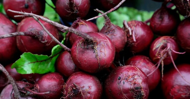 10 продуктів для покращення кровообігу 10
