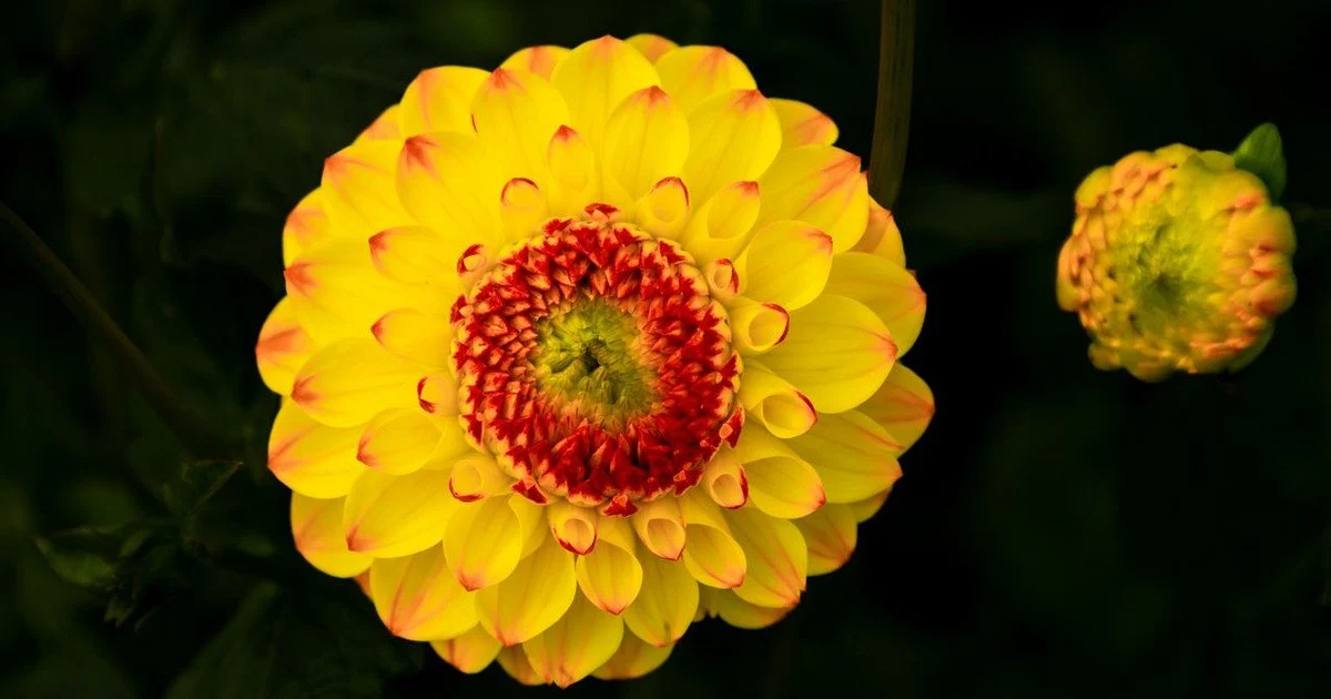 Який день ангела 28 серпня