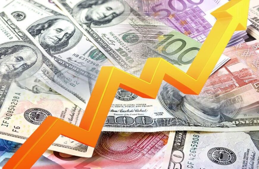 Курси валют на 28 серпня: скільки коштують долар, євро та злотий