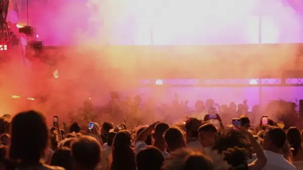 «Вирій» на ВДНГ: від ісландського електро до офіційних шлюбів 2