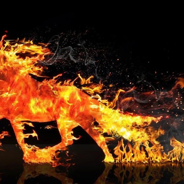 Рік Зеленого Дракона: як стихія 2026 року вплине на всі&hellip;