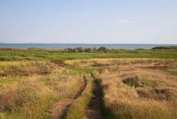 Успіння праведної Анни: яке церковне свято відзначають 31 серпня