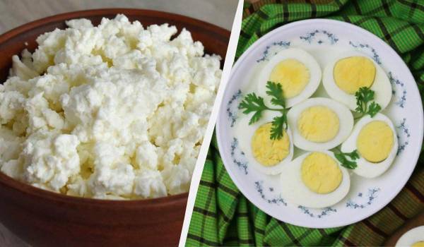 Кисломолочний сир чи яйця: дієтологиня про вибір продукту з вищим вмістом білка