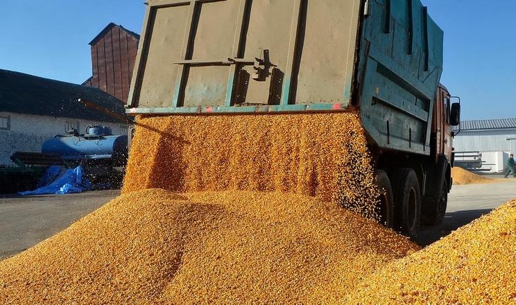 Україна запровадила санкції проти судів і компаній, що торгували викраденим зерном 9