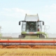Tekom Agro Group завершує підготовку ґрунту до сівби озимих - AgroTimes 3