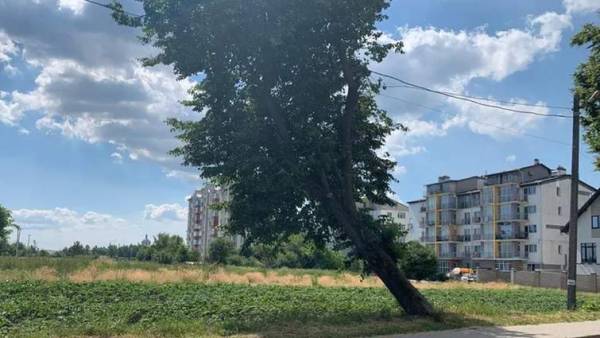 Землю під забудову на Львівщині продали за 30 мільйонів гривень 5