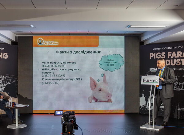 Благополуччя свиней: досвід ЄС та України на форумі Pigs Farming Industry