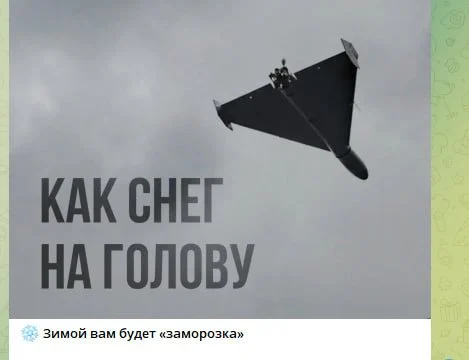 Скриншот допису з Telegram-каналу Міноборони РФ.