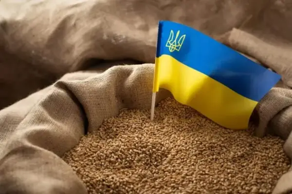 США допоможуть Україні модернізувати елеватори для зберігання зерна