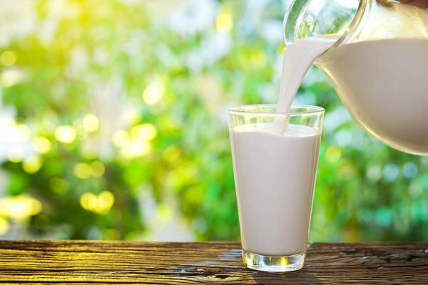 8 щоденних продуктів, у яких кальцію набагато більше, ніж у молоці