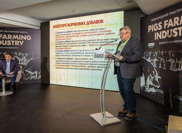 Pigs Farming Industry: як налагодити ефективну годівлю свиней